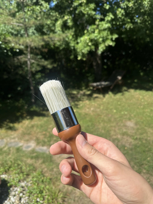 Sattlermeister-Bürste · mit Rosshaarborsten